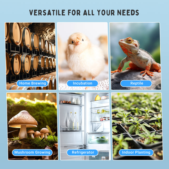 INKBIRDPLUS Temperature and Humidity Controller Heating Cooling Thermostat