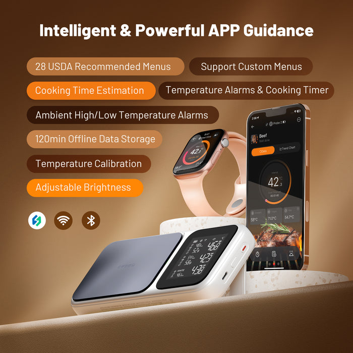 INKBIRD Wifi Bluetooth Wireless BBQ Thermometer INT-33I-BW