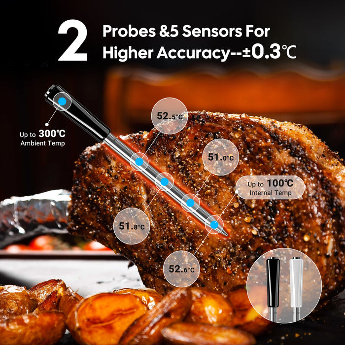 INKBIRD INT-12E-BW Wireless 5G Wifi Bluetooth Multi-Sensor Meat Thermometer