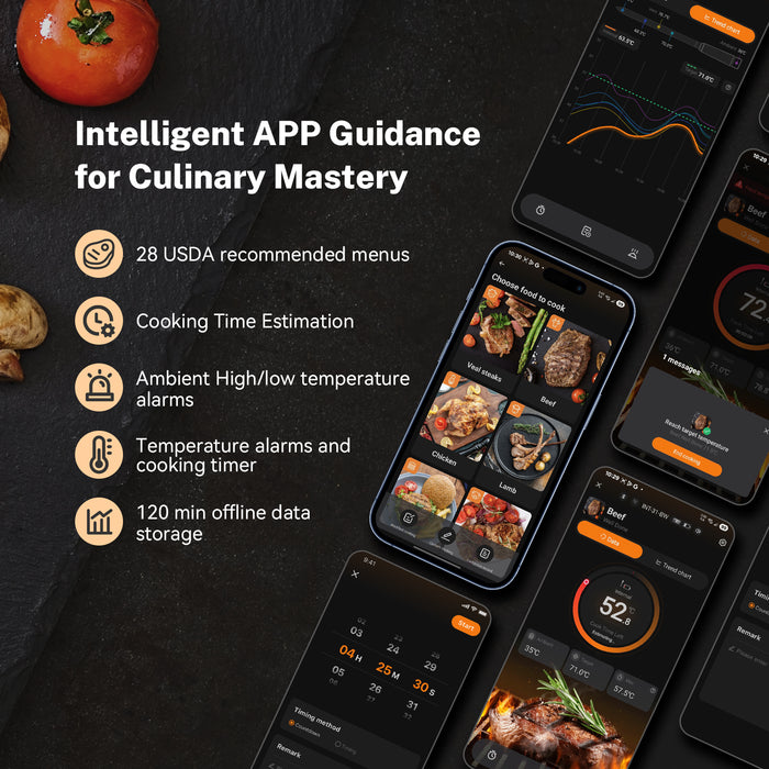 INKBIRD INT-31-BW Wifi Wirefree Meat Thermometer NIST Approved Accuracy