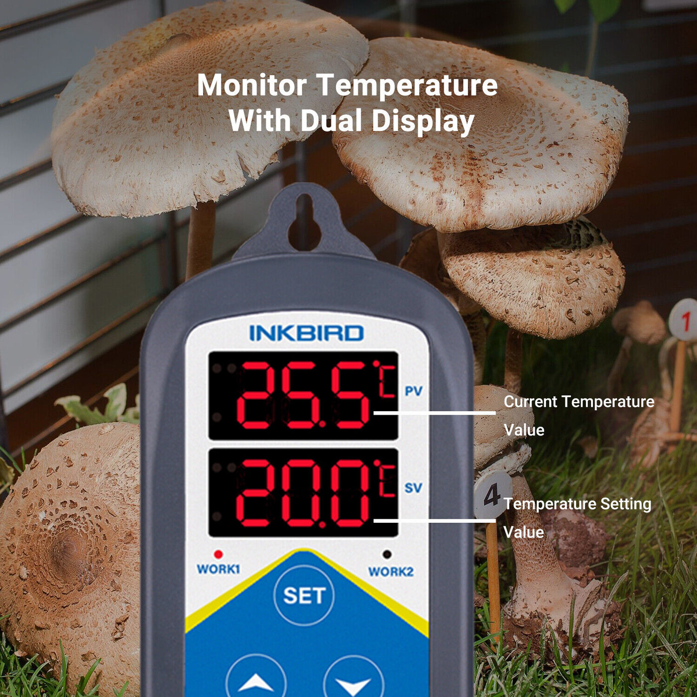 INKBIRD TERMOSTATI ITC-308 Digitale Regolatore Di Temperatura Termostato 255953158595 INKBIRD TERMOSTATI ITC-308 Digitale Regolatore Di Temperatura Termostato 255953158595